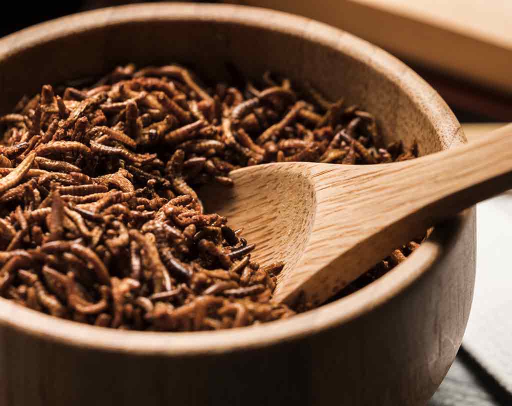 Analyse von Insekten - Novel Food